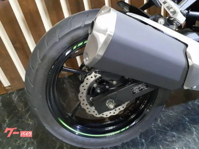 Kawasaki Ninja 250 ETC USB 2023 — миниатюра 4