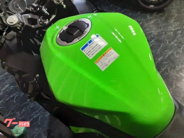 Kawasaki Ninja 250 ETC USB 2023 — миниатюра 5