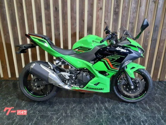 Kawasaki Ninja 250 ETC USB 2023 — фото 1, купить с доставкой в Москву