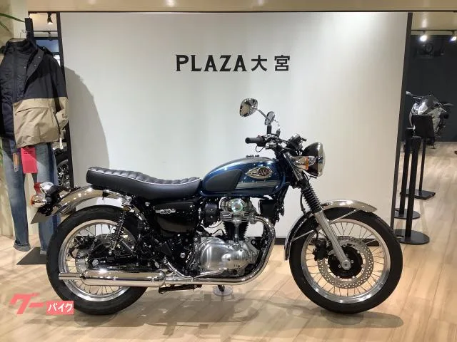 Kawasaki W800 3 ETC 2026 — фото 1, купить с доставкой в Москву