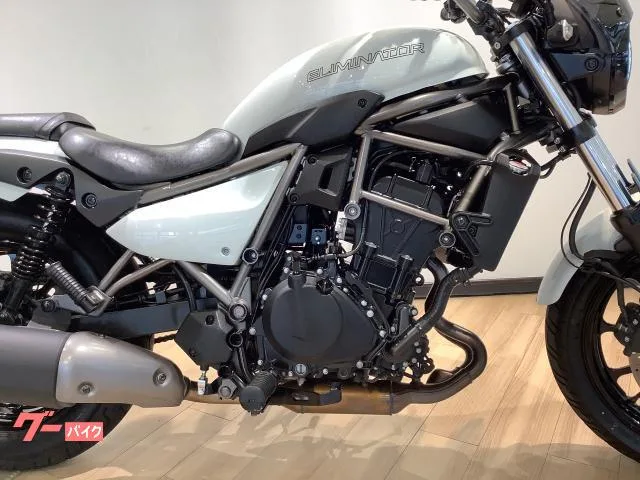 Kawasaki 400 USB 2024 — миниатюра 3