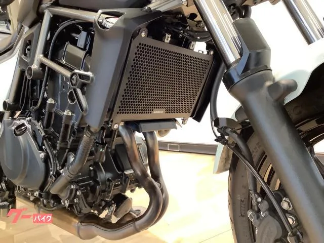 Kawasaki 400 USB 2024 — миниатюра 5