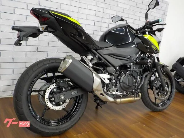 Kawasaki Z250 2022 — миниатюра 4