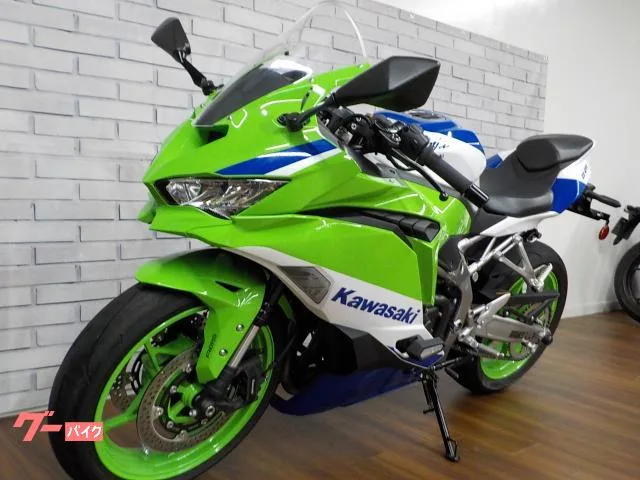 Kawasaki Ninja ZX-4RR 40th anniversary edition 2024 — миниатюра 3