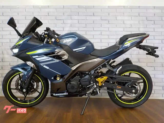 Kawasaki Ninja 400 2022 — миниатюра 2