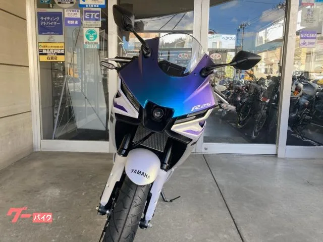 Yamaha YZF-R25 2025 — миниатюра 3
