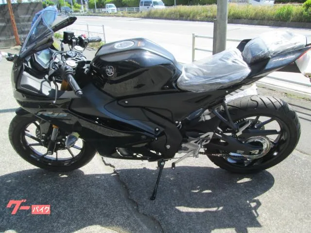 Yamaha YZF-R15 2023 — миниатюра 5
