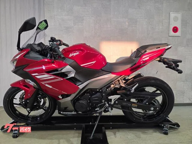 Kawasaki Ninja 250 ABS 37 2022ETC 71602 2022 — миниатюра 2