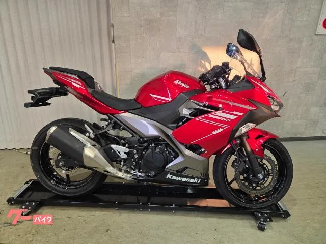 Kawasaki Ninja 250 ABS 37 2022ETC 71602 2022 — фото 1, купить с доставкой в Москву
