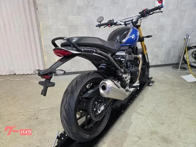TRIUMPH 400 2024 73861 2024 — миниатюра 3