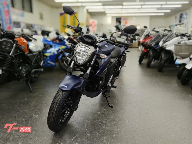 Suzuki GIXXER 250 2023 2023 — миниатюра 3