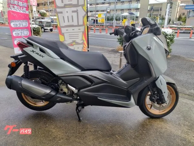 Yamaha X-MAX250 Y-Connect 2025 — миниатюра 2