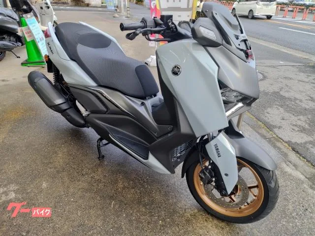 Yamaha X-MAX250 Y-Connect 2025 — фото 1, купить с доставкой в Москву