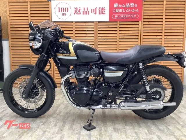 Kawasaki W800 2022 — миниатюра 3