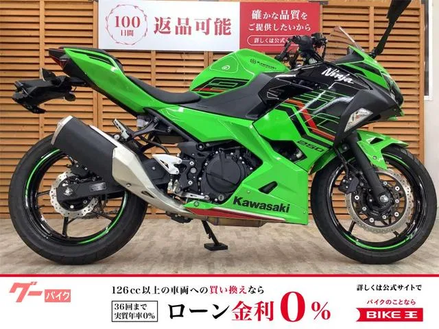 Kawasaki Ninja 250 KRT 2023 — фото 1, купить с доставкой в Москву