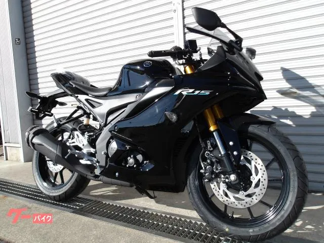 Yamaha YZF-R15 ABS 2024 — миниатюра 2