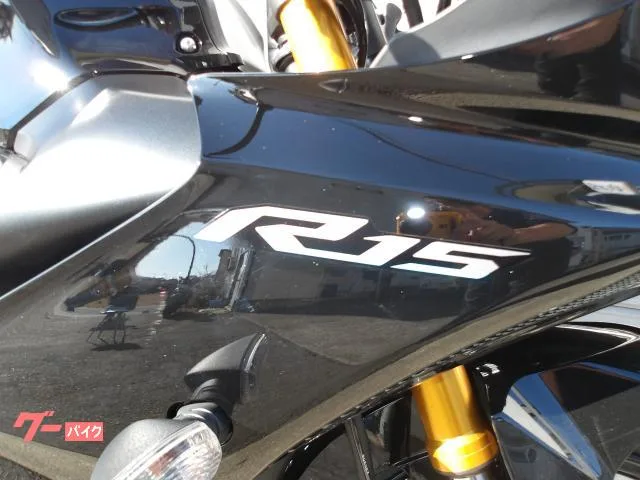 Yamaha YZF-R15 ABS 2024 — миниатюра 4