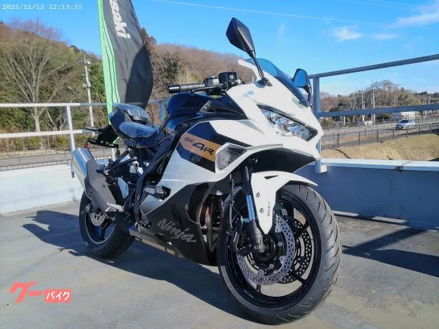 Kawasaki Ninja ZX-4R SE 2026 — миниатюра 2