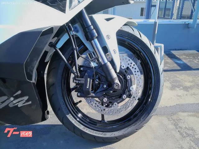 Kawasaki Ninja ZX-4R SE 2026 — миниатюра 4