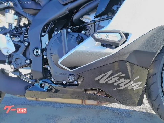 Kawasaki Ninja ZX-4R SE 2026 — миниатюра 5