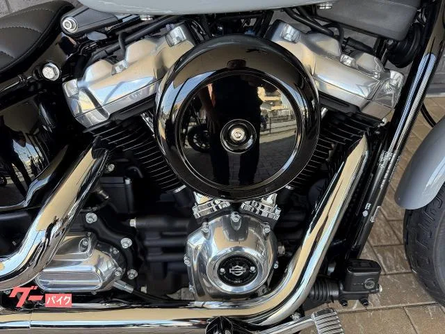 HARLEY-DAVIDSON FXST 2024 — миниатюра 5