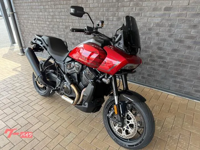 HARLEY-DAVIDSON 1250ST 2025 — миниатюра 2
