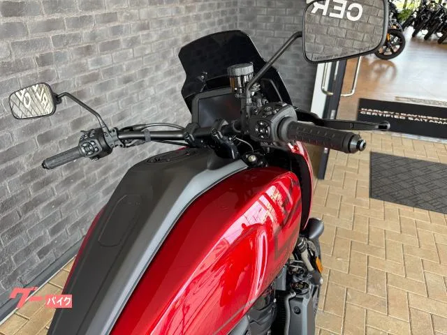 HARLEY-DAVIDSON 1250ST 2025 — миниатюра 4