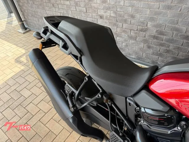 HARLEY-DAVIDSON 1250ST 2025 — миниатюра 5