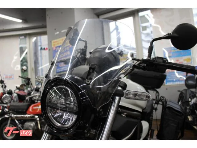 Kawasaki 400 SP 2024 — миниатюра 4