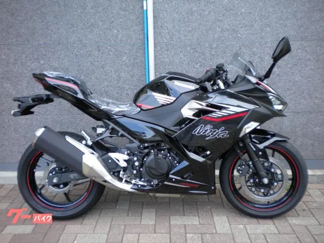 Kawasaki Ninja 400 2025 — фото 1, купить с доставкой в Москву