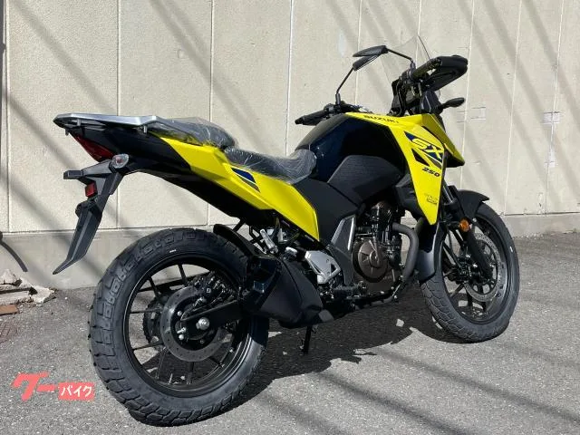 Suzuki V- 250SX 2024 — миниатюра 2