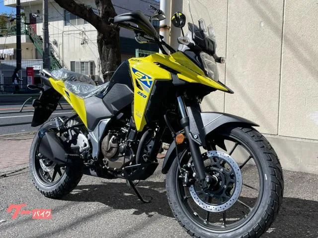 Suzuki V- 250SX 2024 — миниатюра 3
