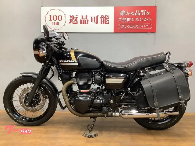Kawasaki W800 2022 — миниатюра 3