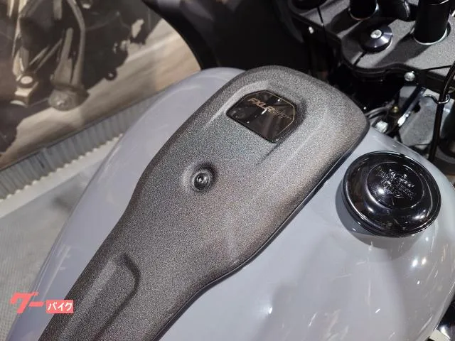 HARLEY-DAVIDSON FXLRST ST 2022 — миниатюра 3