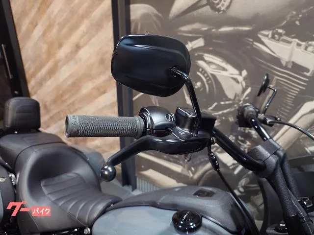 HARLEY-DAVIDSON FXLRST ST 2022 — миниатюра 5