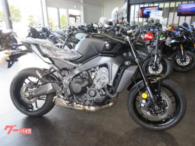 Yamaha MT-09 Y-AMT 3 2024 — фото 1, купить с доставкой в Москву