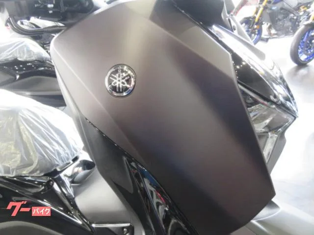 Yamaha X-MAX250 ABS 2024 — миниатюра 2