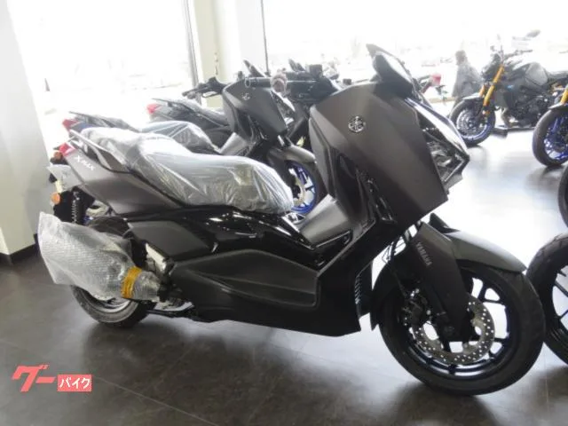 Yamaha X-MAX250 ABS 2024 — фото 1, купить с доставкой в Москву