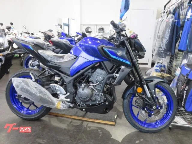 Yamaha MT-25 YSP3 2025 — фото 1, купить с доставкой в Москву