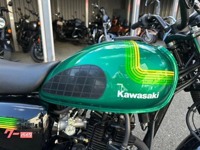 Kawasaki W175 3 2024 — миниатюра 5