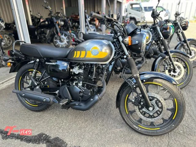 Kawasaki W175 3 2024 — миниатюра 2