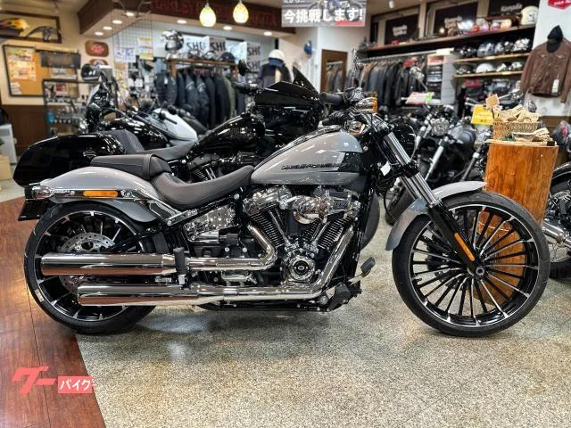 HARLEY-DAVIDSON FXBR 2024 117 2024 — миниатюра 2