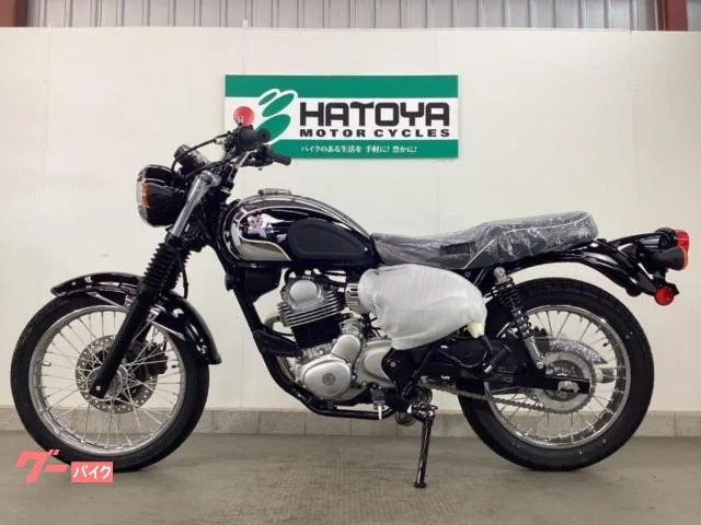 Kawasaki S1 2025 — миниатюра 2