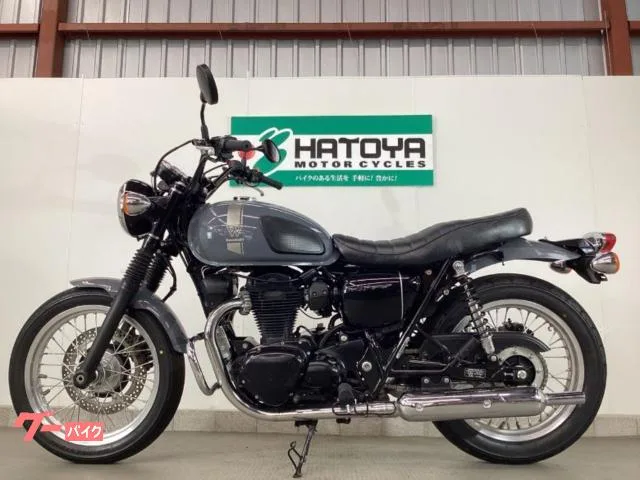Kawasaki W800 ETC2.0 2023 — миниатюра 2