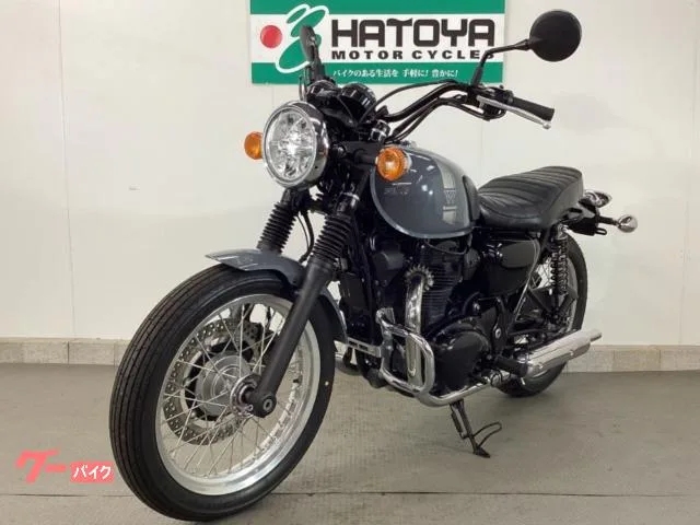 Kawasaki W800 ETC2.0 2023 — миниатюра 3