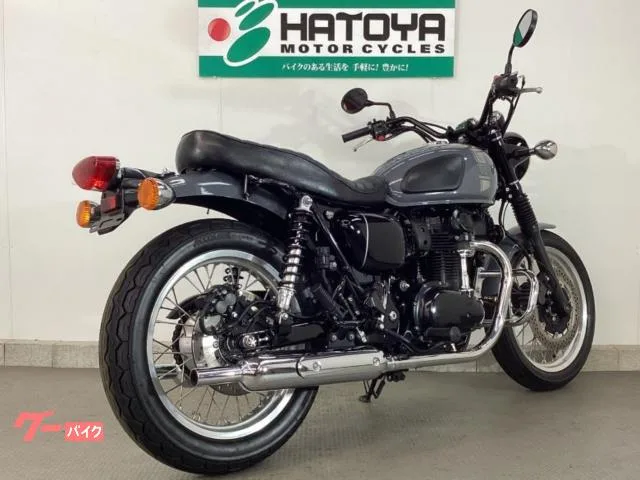 Kawasaki W800 ETC2.0 2023 — миниатюра 4