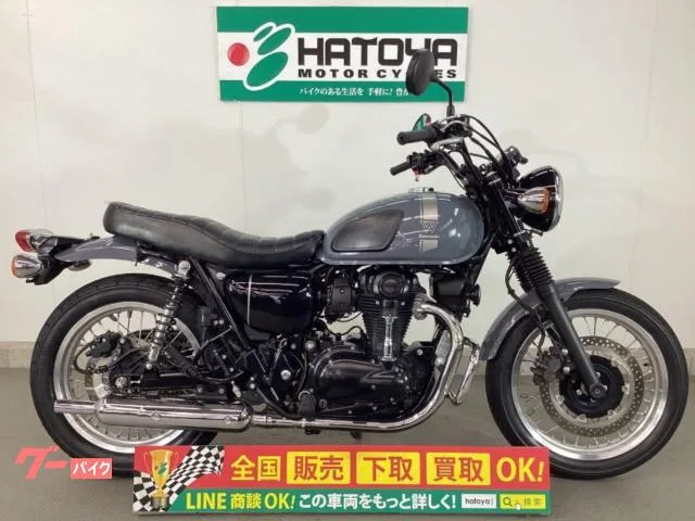 Kawasaki W800 ETC2.0 2023 — фото 1, купить с доставкой в Москву