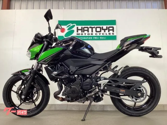 Kawasaki Z250 2023 — миниатюра 2