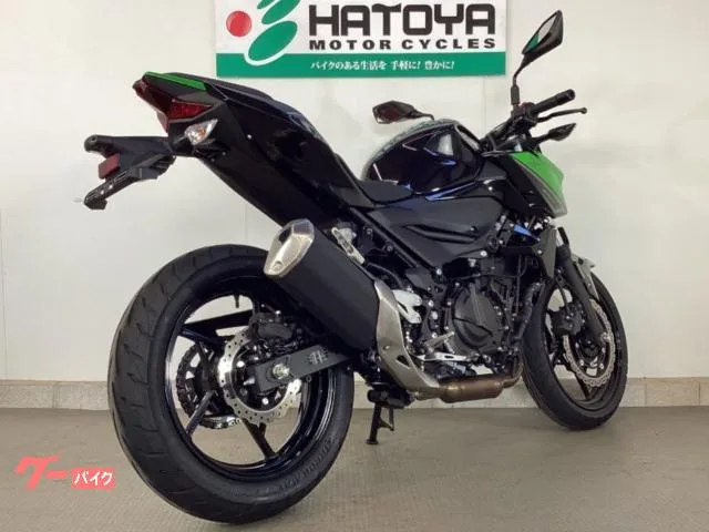 Kawasaki Z250 2023 — миниатюра 4