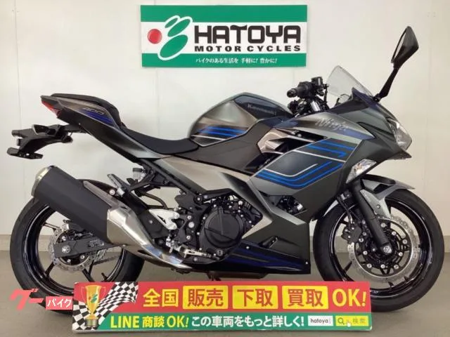 Kawasaki Ninja 400 2025 — фото 1, купить с доставкой в Москву